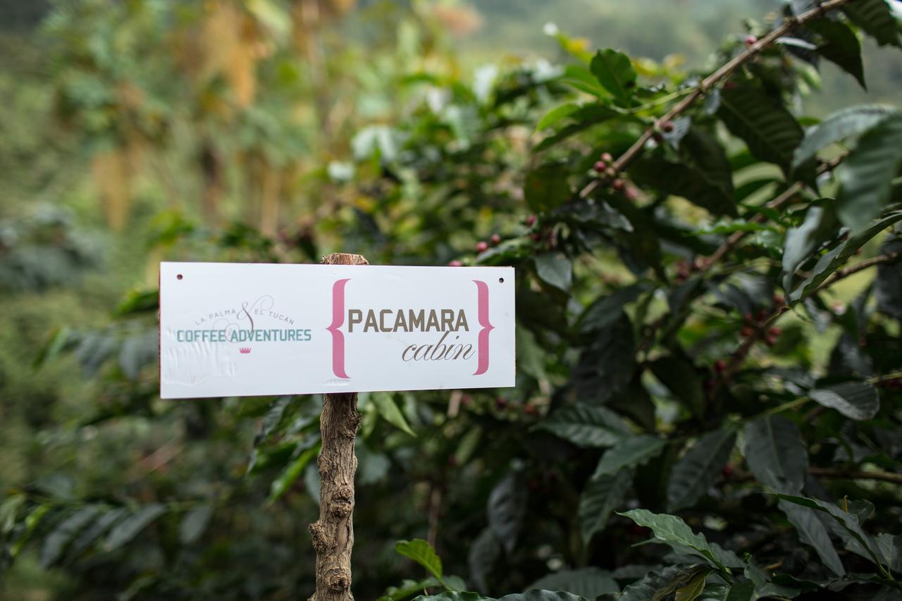 Coffee & Adventure Hotel By La Palma Y El Tucan Zipacon Esterno foto