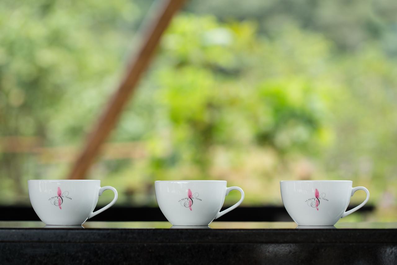 Coffee & Adventure Hotel By La Palma Y El Tucan Zipacon Esterno foto