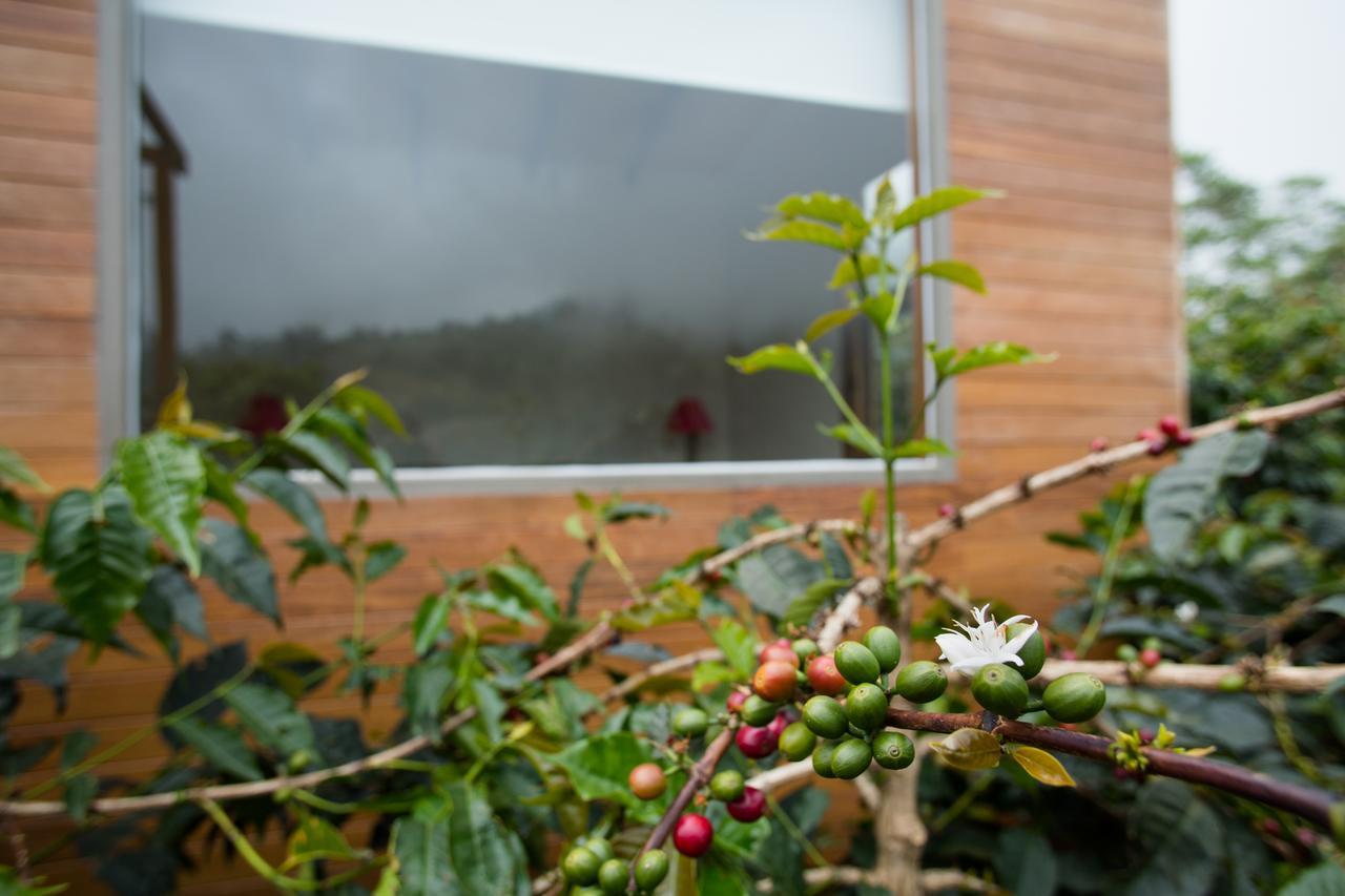 Coffee & Adventure Hotel By La Palma Y El Tucan Zipacon Esterno foto