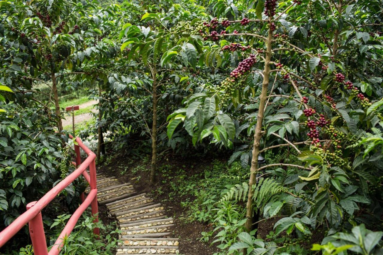 Coffee & Adventure Hotel By La Palma Y El Tucan Zipacon Esterno foto